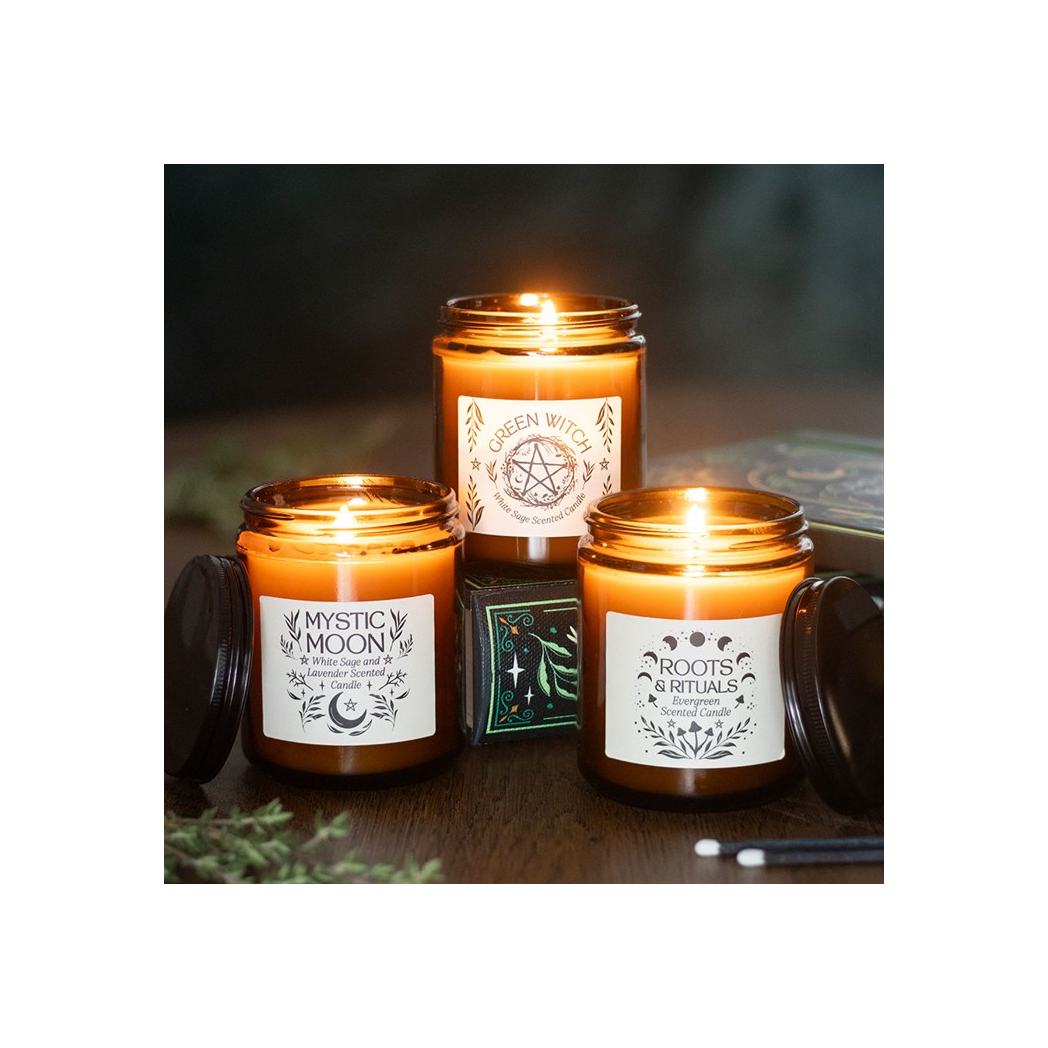 Roots & Rituals Evergreen Amber Glass Candle