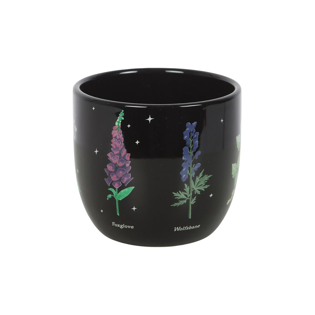 Poisonous Plants Plant Pot