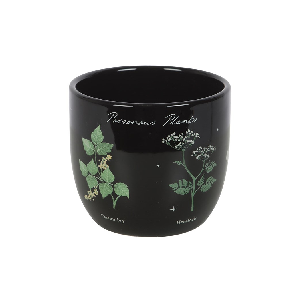 Poisonous Plants Plant Pot