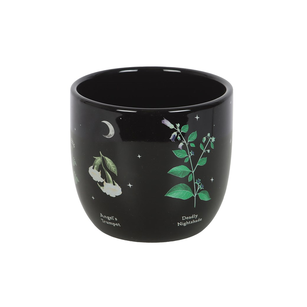 Poisonous Plants Plant Pot